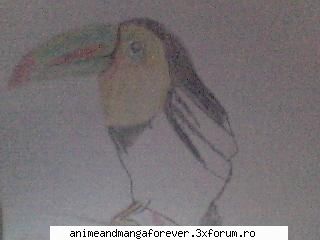 desenele mele.... bird... ...::♡Anime Fantasy♡::...
