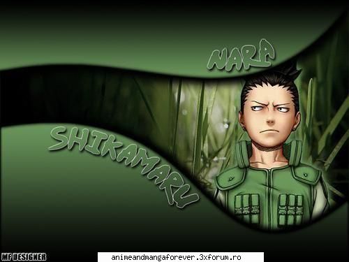 shikamaru nara lenesul echipei lui ino ..::♡Admina♡::..