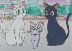 pisicile luna, artemis diana poze cele doua pisicute, desigur lor diana aveti ..::♡Admina♡::..