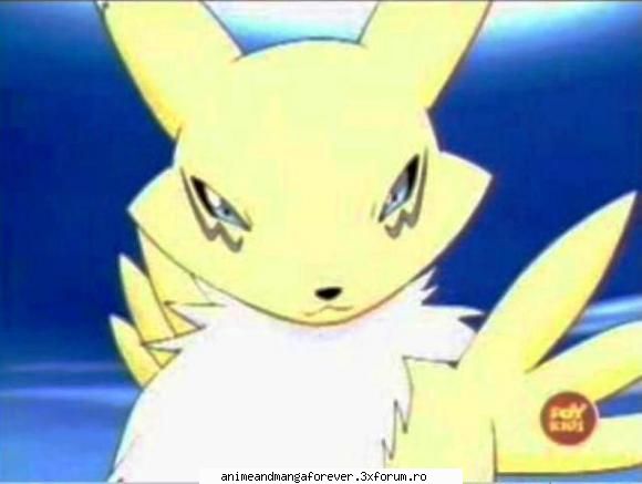 rika-chan renamon