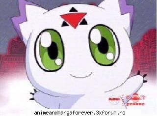 calumon sau culumon impmon