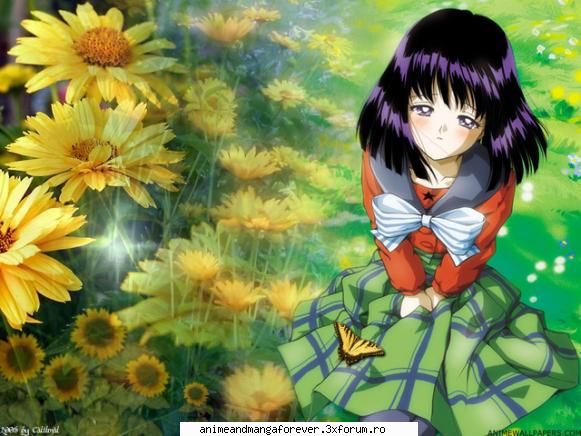 sailor saturn sau hotaru tomoe