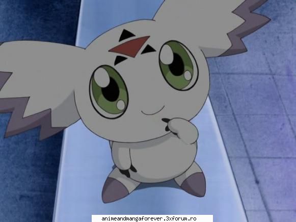 calumon sau culumon impmon