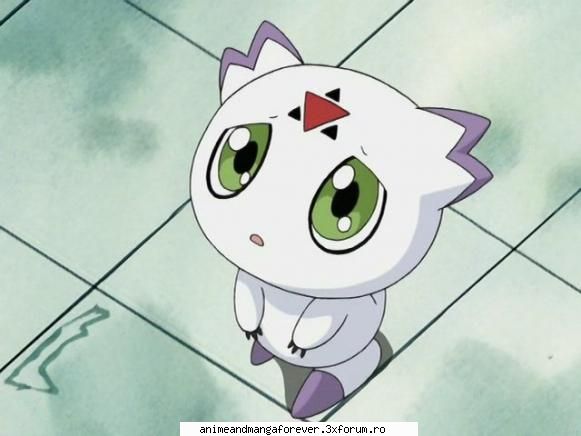 calumon sau culumon impmon