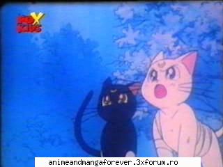pisicile luna, artemis diana ..::♡Admina♡::..