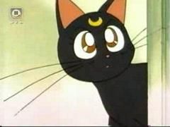 pisicile luna, artemis diana ..::♡Admina♡::..
