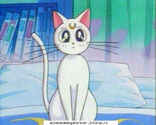 pisicile luna, artemis diana ..::♡Admina♡::..