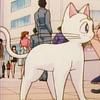 pisicile luna, artemis diana ..::♡Admina♡::..