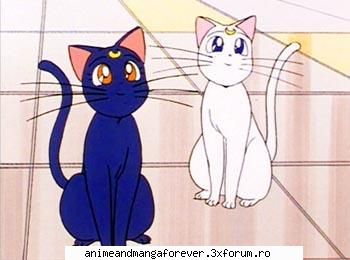 pisicile luna, artemis diana ..::♡Admina♡::..
