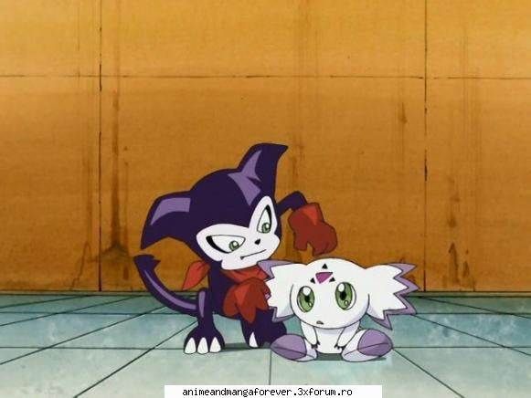 calumon sau culumon impmon