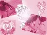 sailor chibi chibi fac