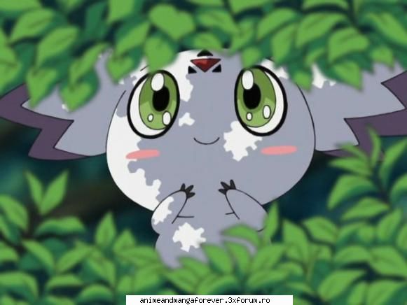 calumon sau culumon impmon