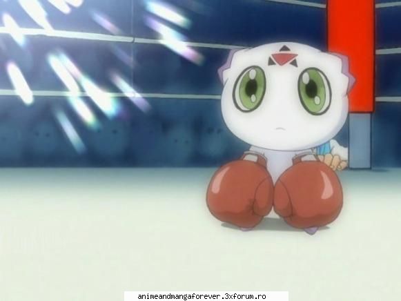 calumon sau culumon impmon