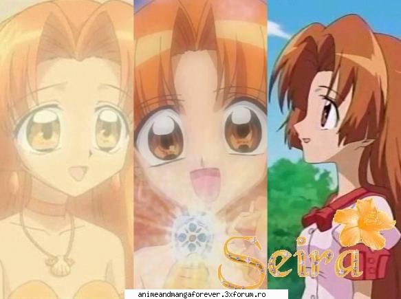 seira este preferata meaa