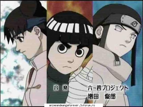 echipa gai 2.&nbsp;