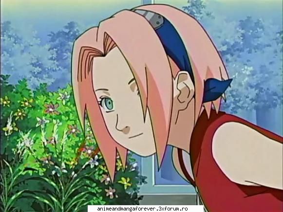 sakura haruno next