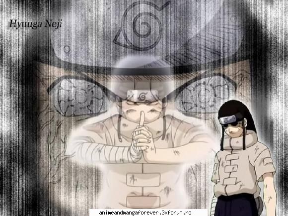 neiji hyuuga nr2