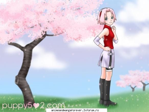 sakura haruno