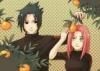nr 7 sasuke and sakura